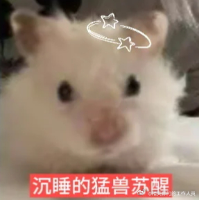起床了，希望还在睡的人从床上掉下去
