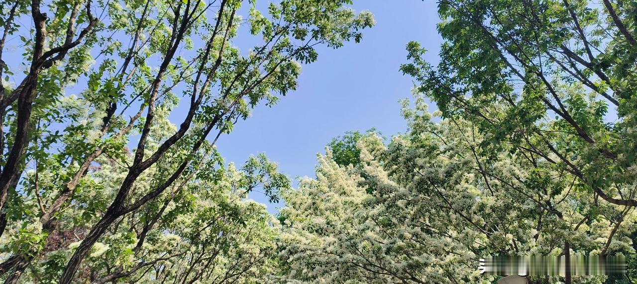 评标那些事（三）
有一次参加一个工程标，评定方式是采用评定分离的方式，在评审过程