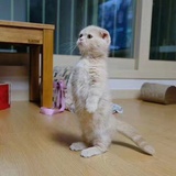 张恭聚聚娱乐
