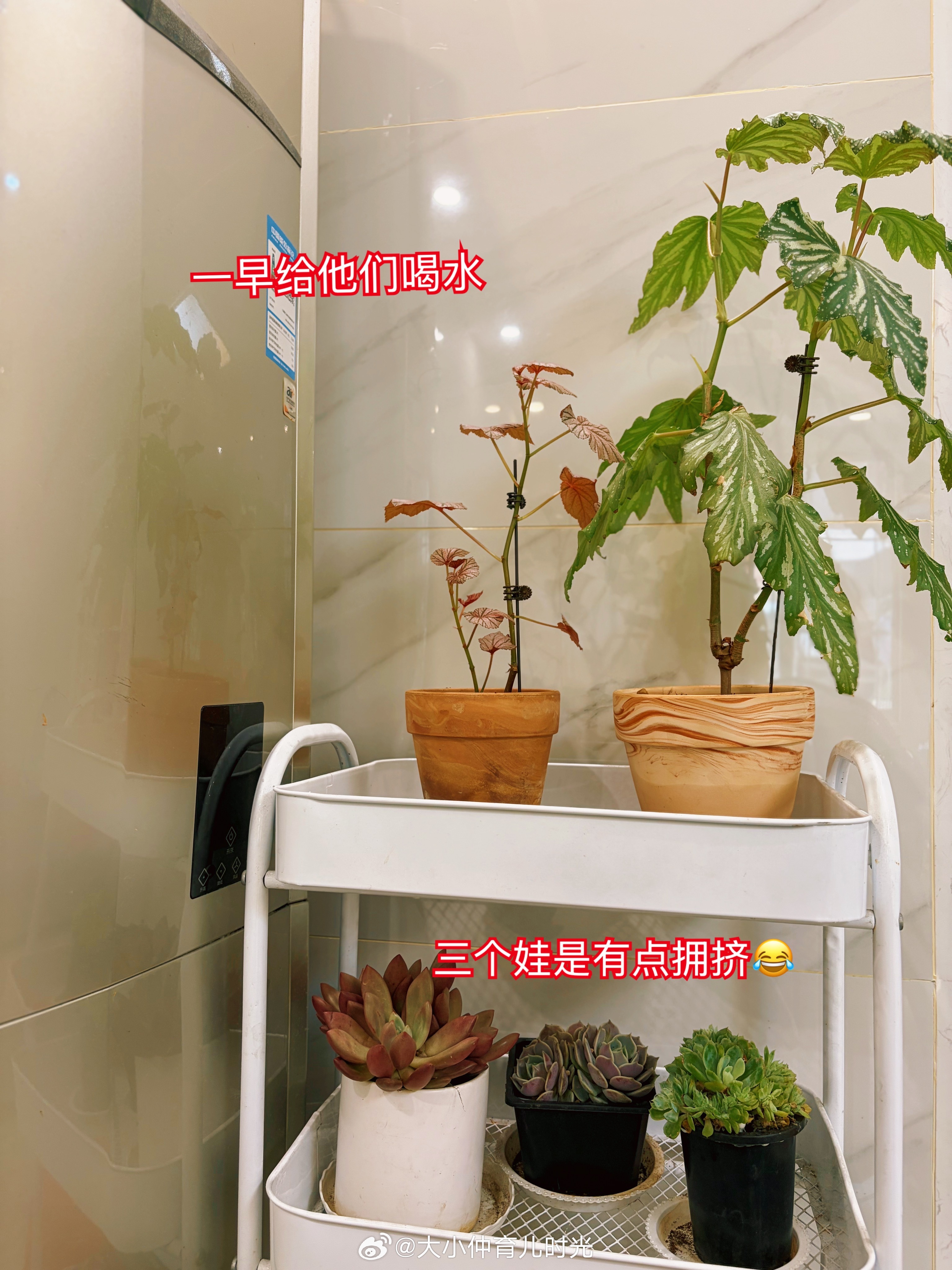 人压力不太大的时候，心态真的特稳，包容一切。每天睡醒，我都是幸福感满满的。 ​​