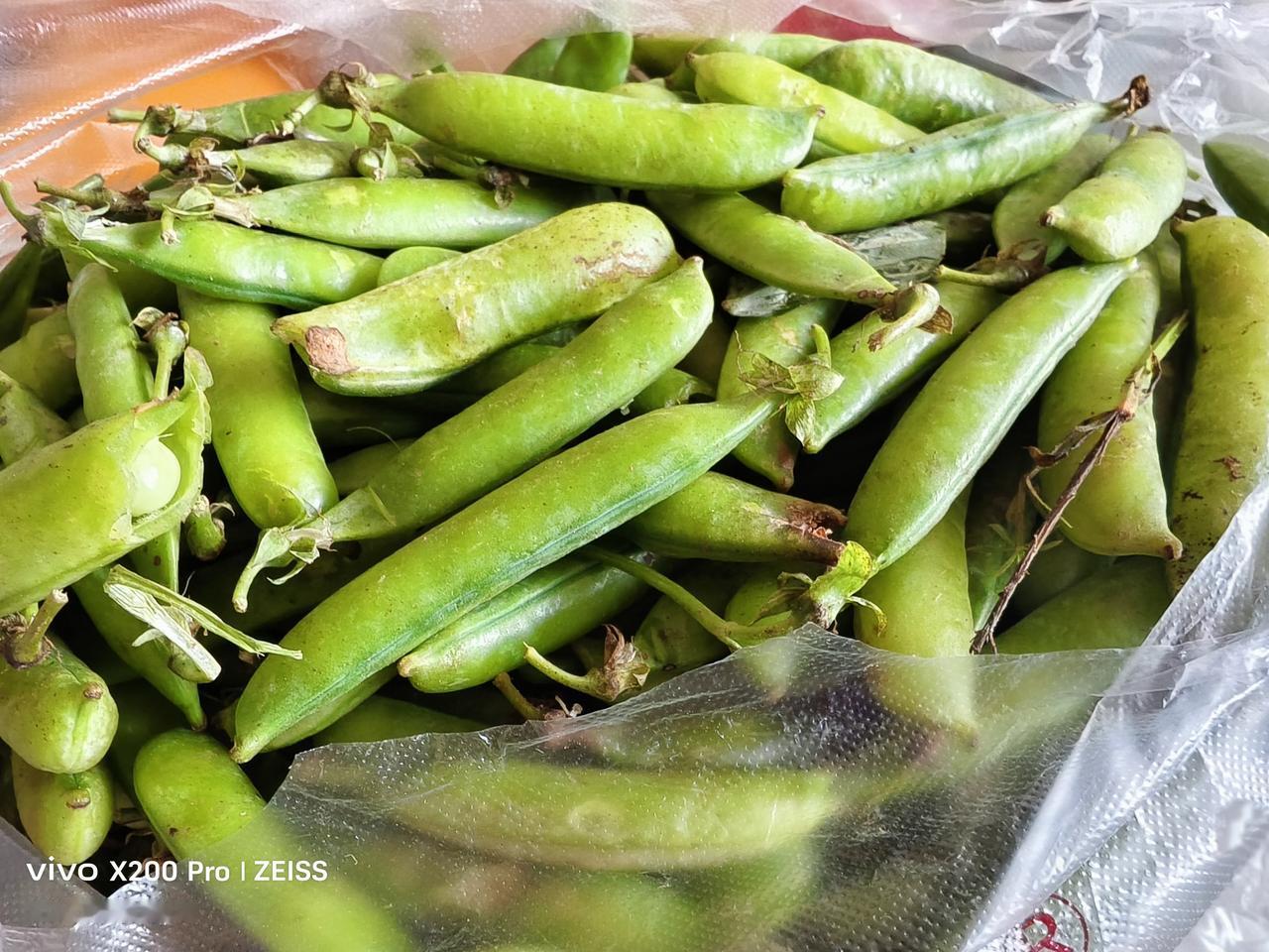 我喜欢吃青豌豆，青蚕豆。现在正赶上吃青豌豆的好时候，这几天我一直在买，从十块钱三