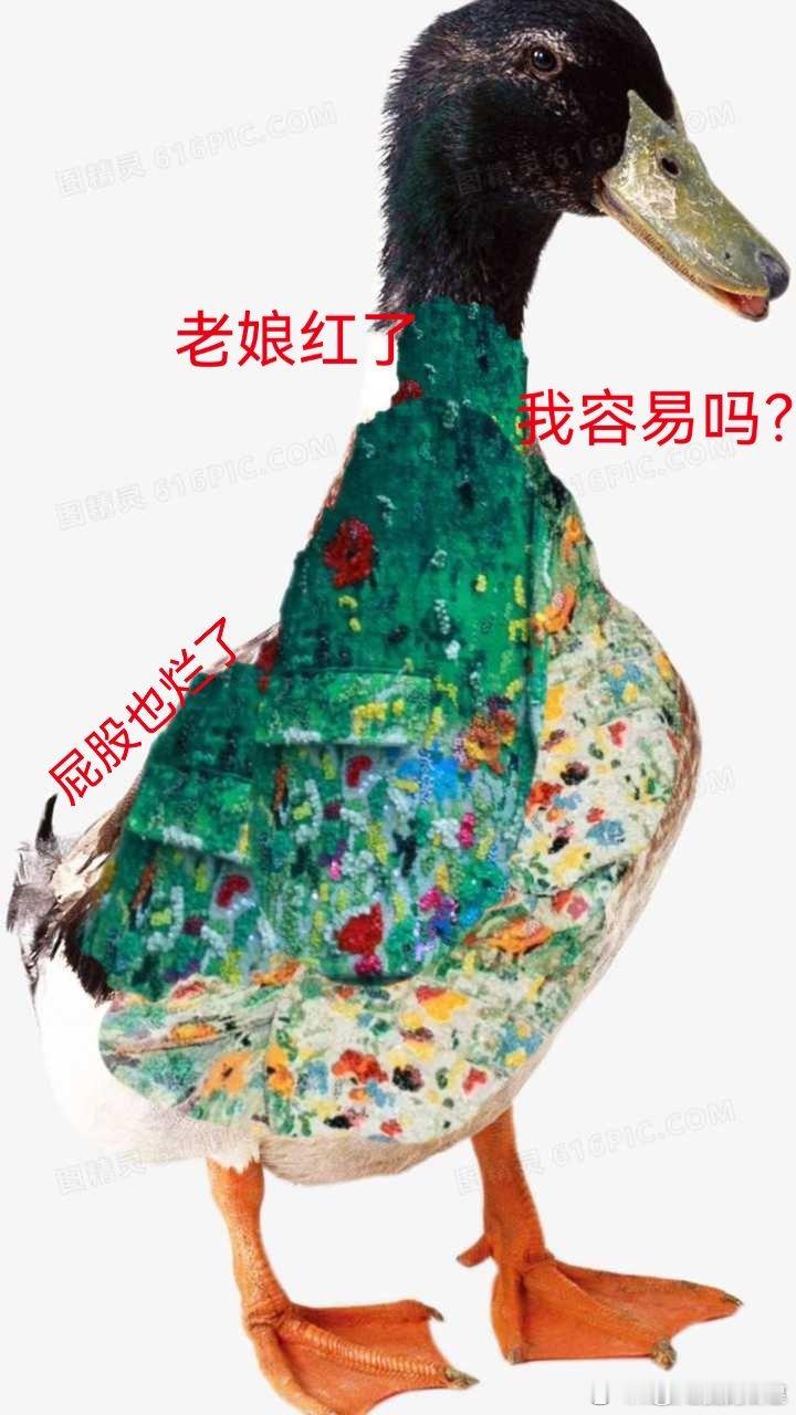 我真的好想报警，男gv忽然像面线一样涌出来了…劳资都不敢去论坛和刷热点了，不是一