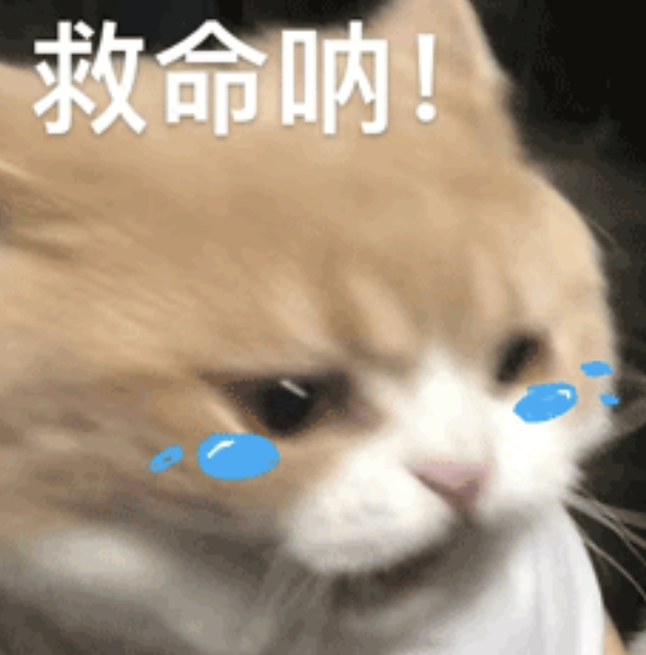 我要崩溃了，刚我在床上趴着研究塔罗牌，我感觉有个啥东西，扑扇着翅膀降落在了我的皮