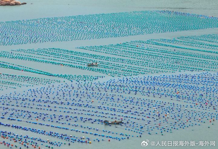 #海外网评# 【为完善全球海洋治理贡献中国力量】2026年是《联合国海洋法公约》