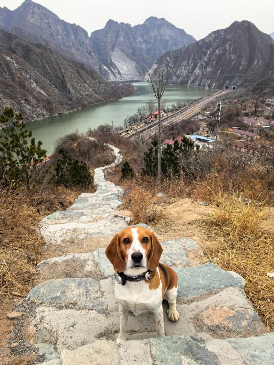 11的徒步日记18：落坡岭2km