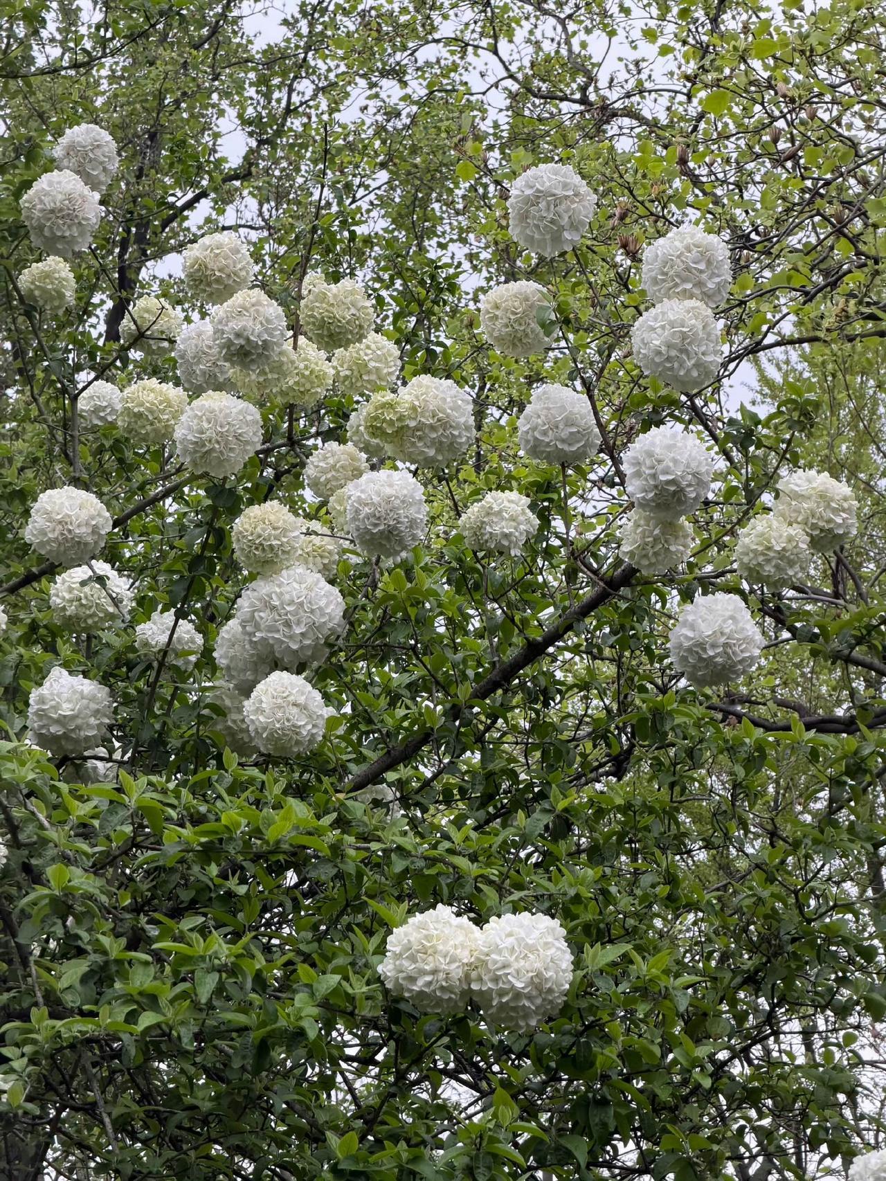 清醒过，才懂自己生活的脉络…