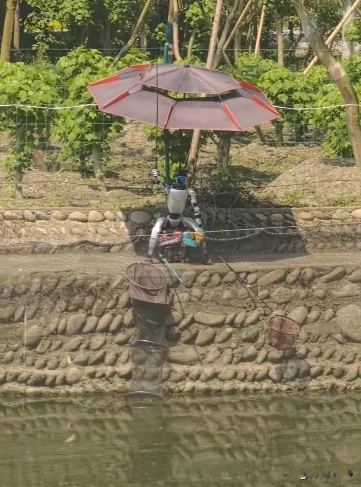 真有意思！居然有人让机器人帮着钓鱼，看它有模有样的模仿着人类钓鱼，看着就搞笑！估