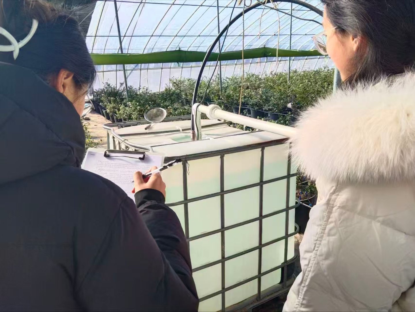 秦岭笑谈 【走菏泽郓城乡村田埂，探耕地转型乡土路径】1月22日，