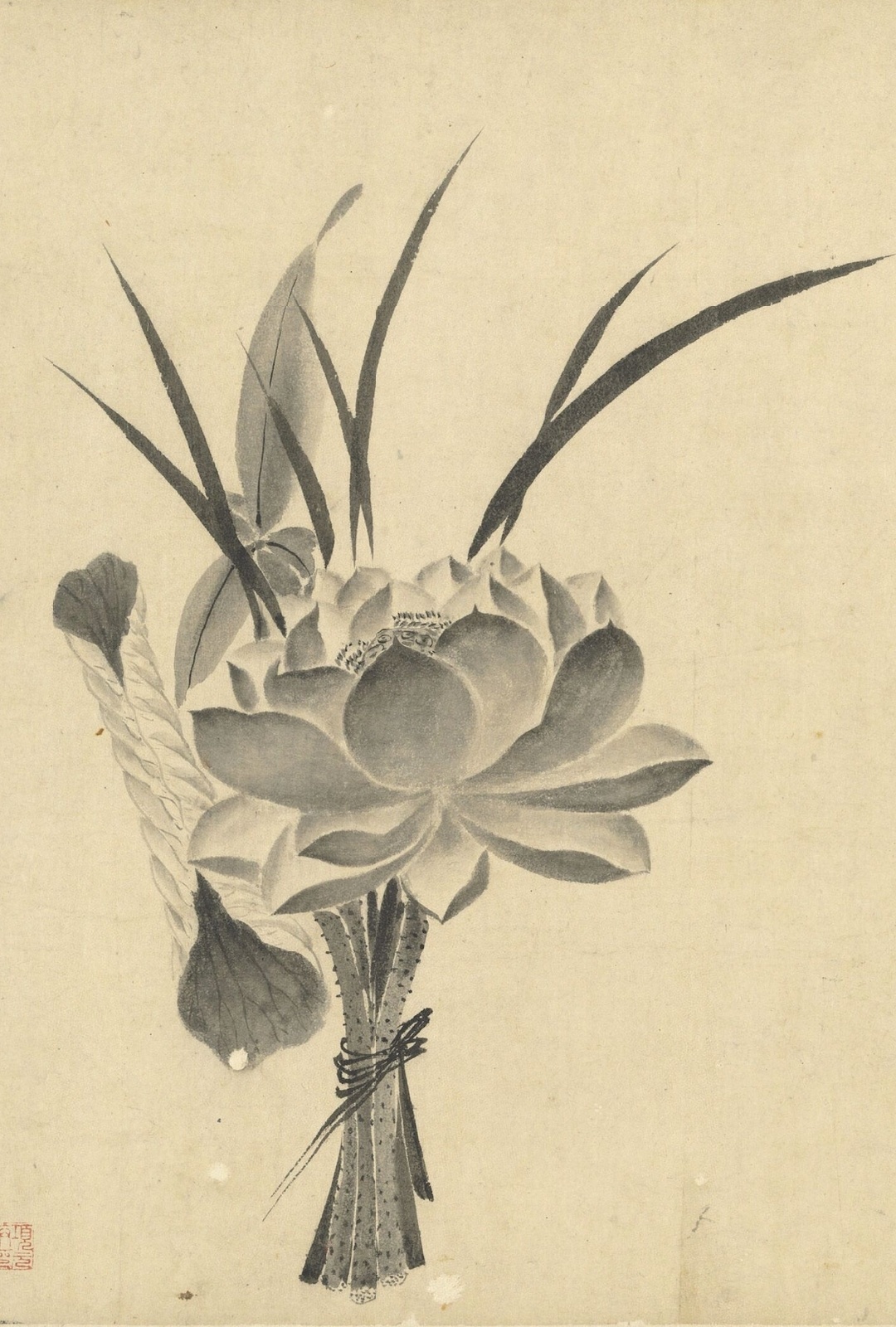 等今年夏天时候，我想扎这样式的一把莲。从宋画里捞出来，带着露水与蝉鸣…… ​​​