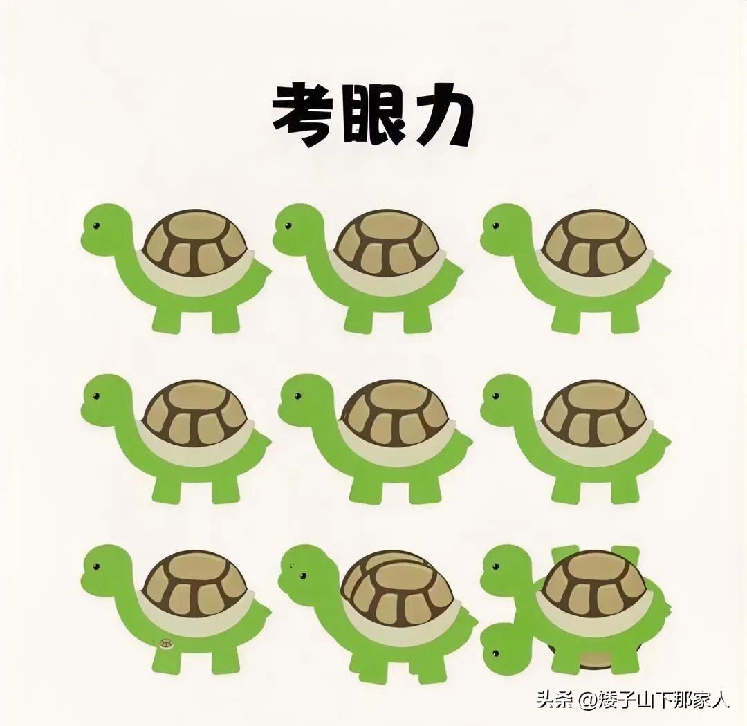 多少只？我能找到14只