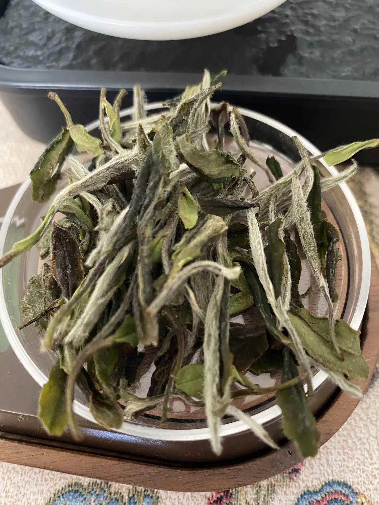 本白牡丹，产地为福鼎白琳柴头山，年份为2021年，等级为一级，萎凋方式为纯自然日