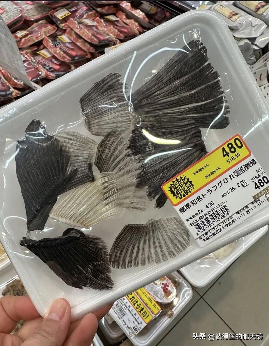 给小八嘎上了海味喽~~ ​​​

鱼鳍这种在咱们这儿狗都不吃的边角料，小八嘎却要