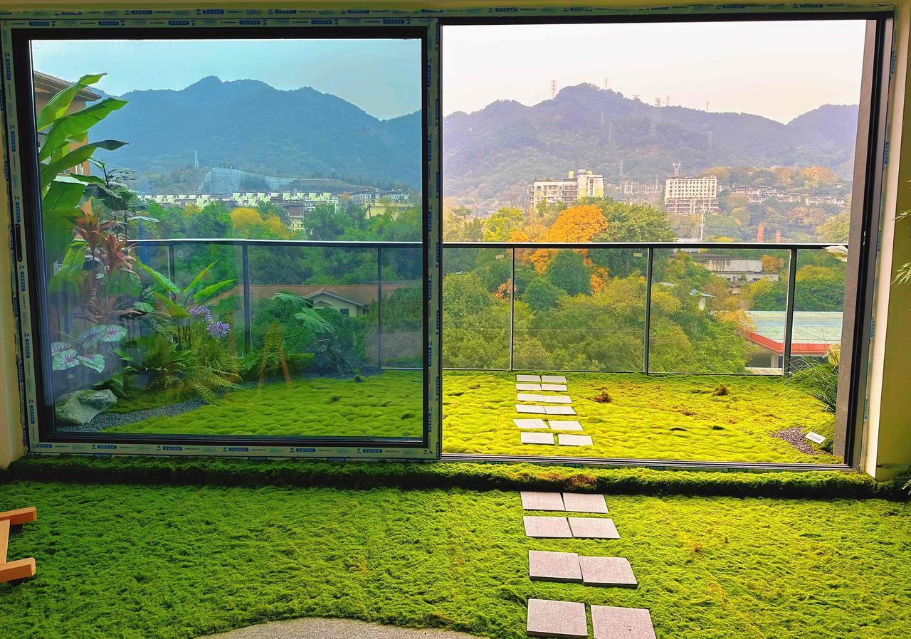 假如，窗外的风景有段位
重庆这个豪宅，要卖什么价格？