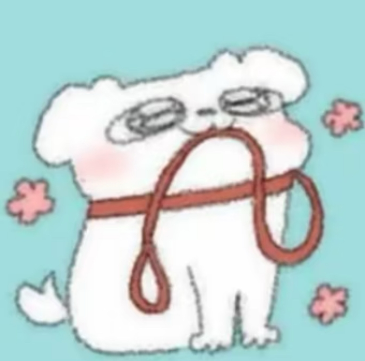 看见真小狗了 