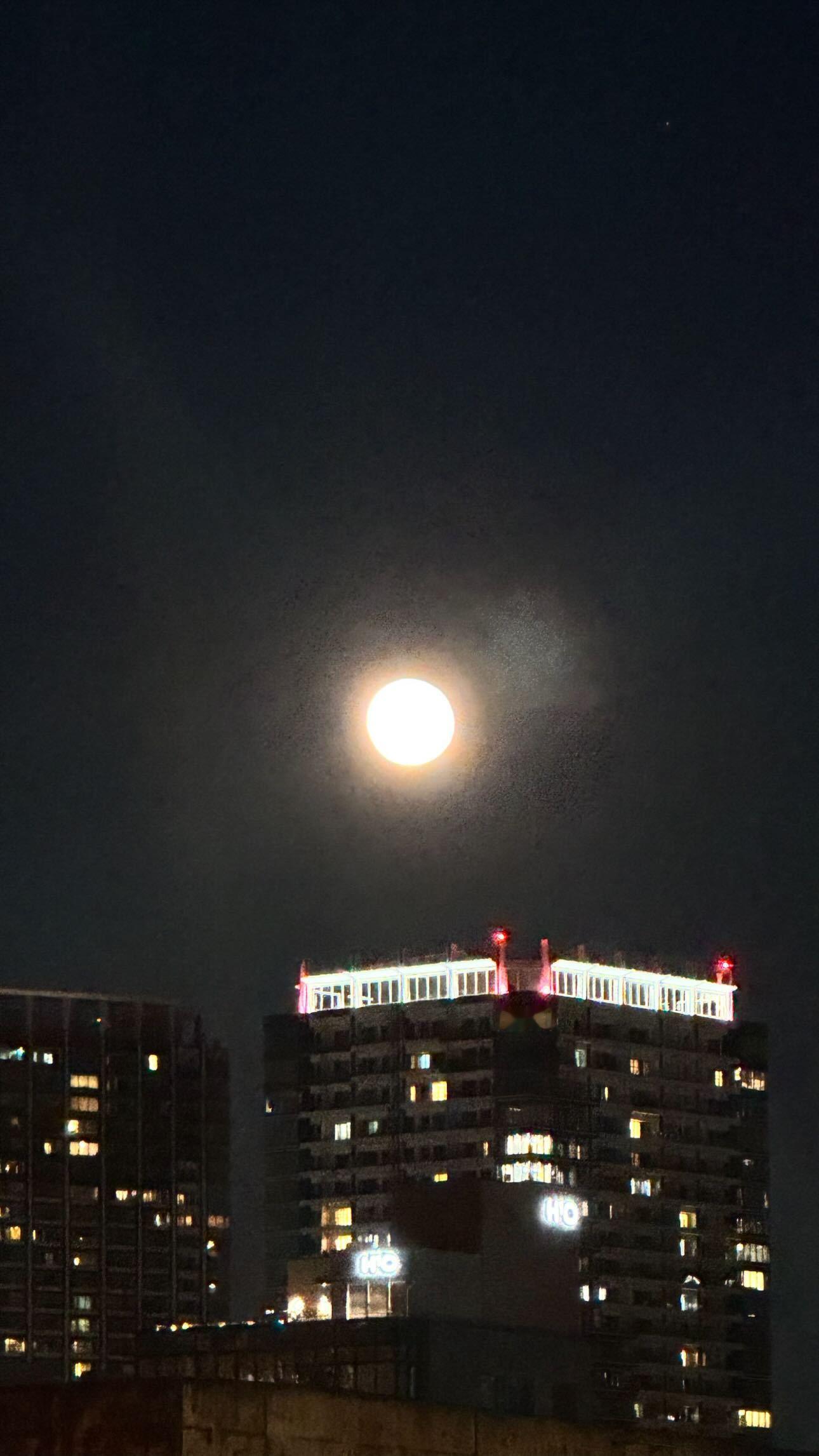 齋藤冬優花　　fuustagram