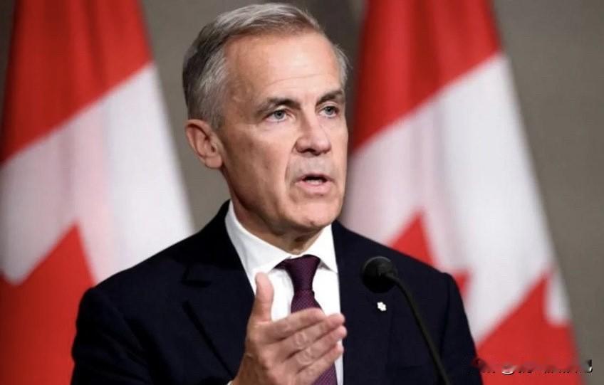 加拿大总理马克.卡尼表示，加拿大联邦国防军将向北约盟友丹麦所属的格陵兰岛派遣一支