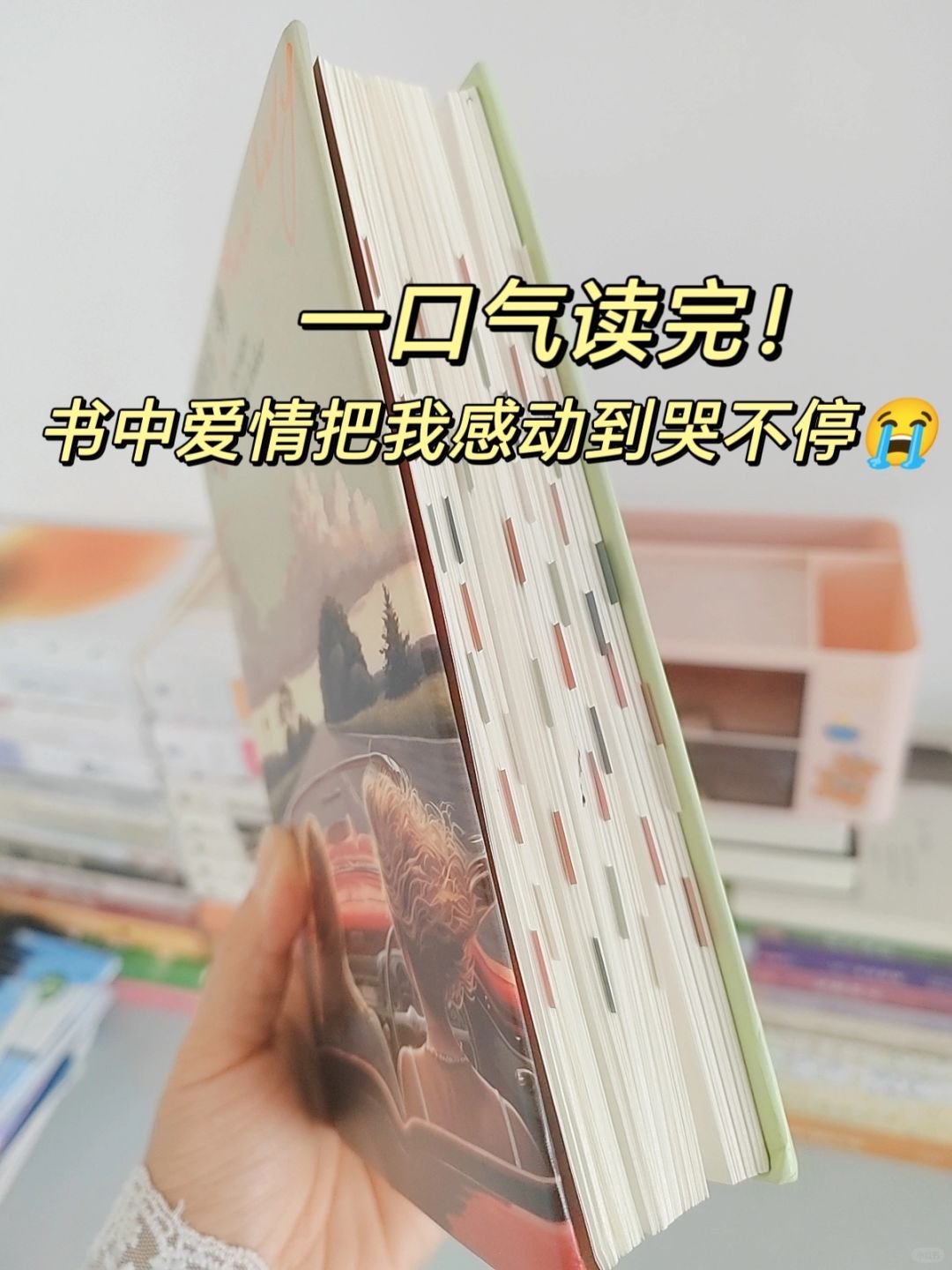 近几年读过的，唯一哭晕过去的书😭