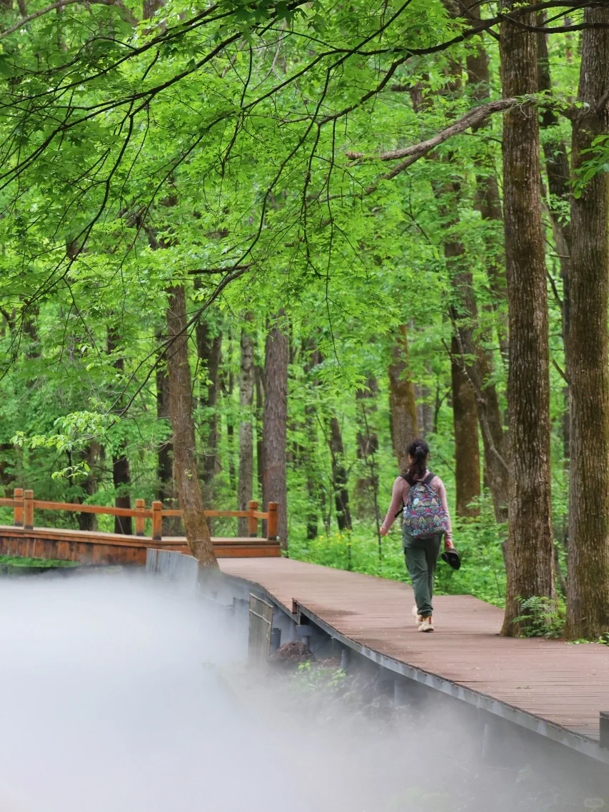 人生建议：暑假一定要带娃来22℃长白山避暑