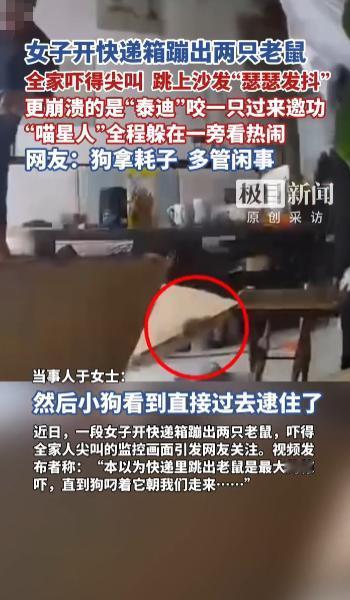“笑不活了！”2025年10月，山东潍坊，一女子开快递箱时蹦出来两只老鼠，吓得她