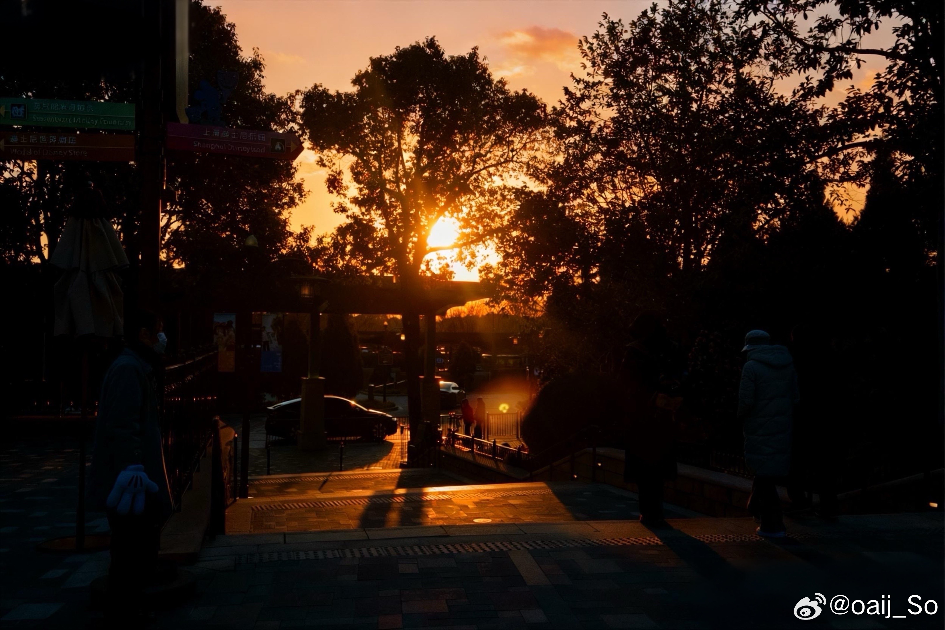 “世界灿烂而盛大” 