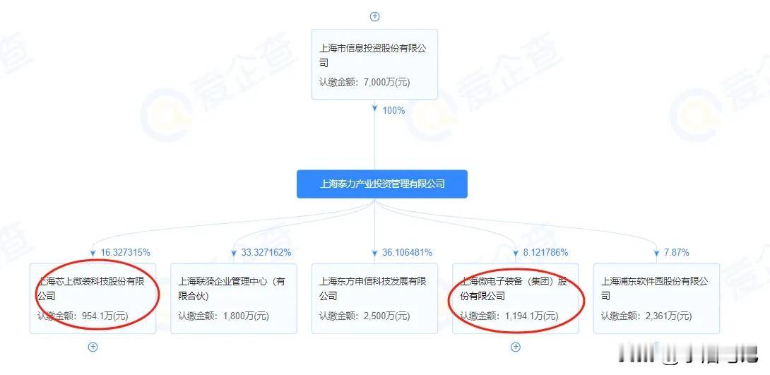 上海微电子和芯上微装肩负着国产光刻机突围的重担，东方明珠同时持有这两家公司的股权