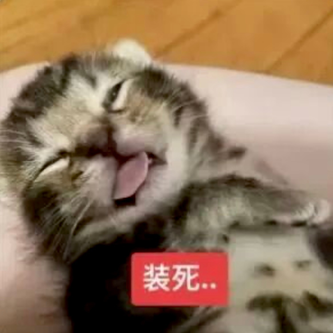 分享图片 