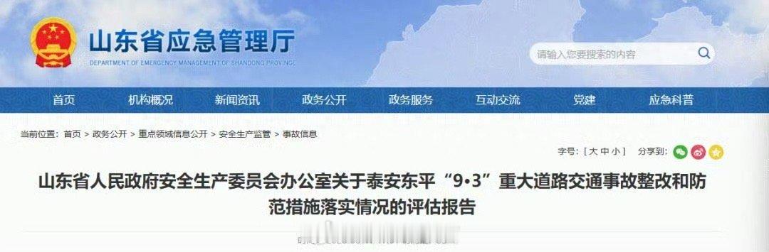 山东泰安致11死13伤交通事故报告公布起因司机孟某全操作失误（未挂空挡、误踩油门