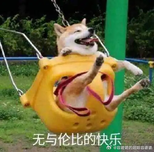 伊媒称美军试图炸死在伊失联飞行员记得用落地的霉菌飞行员“打窝”，瞄准任何一架猎杀