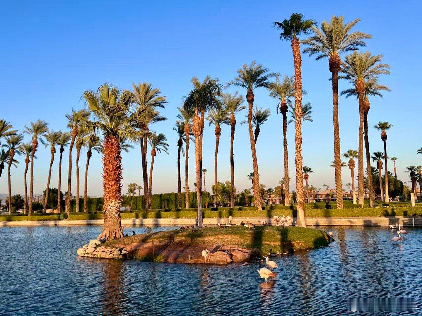 每天在北京才发现  我和家人在一起时间多了可以吃饭 可以做饭 可以聊天  可以爬