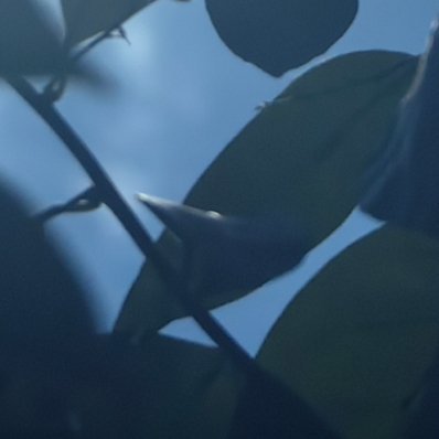 每日一善 阳光洒在草地上，一片宁静的美景呈现在眼前。我拿起相机，定格下这温馨的时