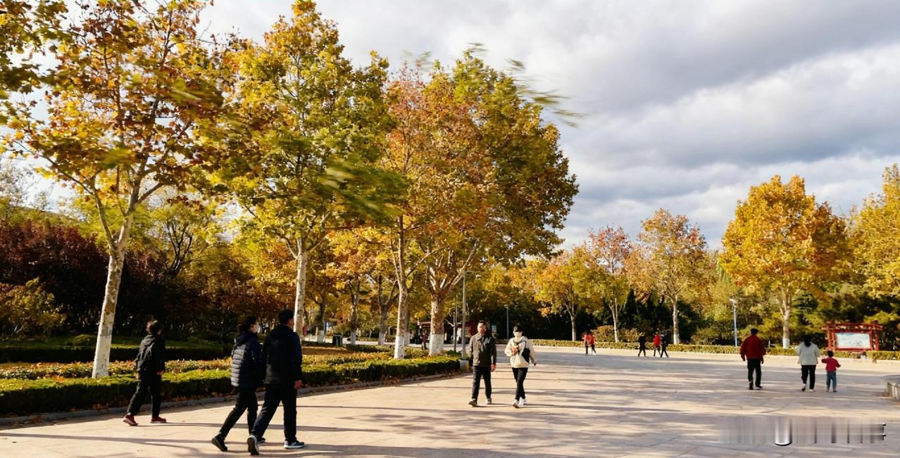 晴天、多云、降雨轮番登场，山东未来三天，天气舞台太热闹了，出门记得看天气！

今