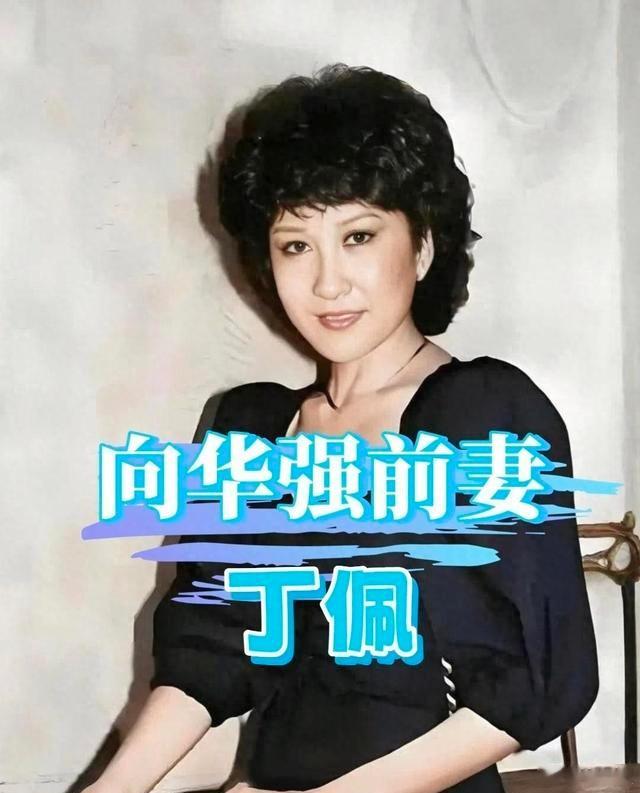 丁佩，向华强的前妻，与李小龙有过一段感情，并与向华强因电影《铁证》而结缘。两人在