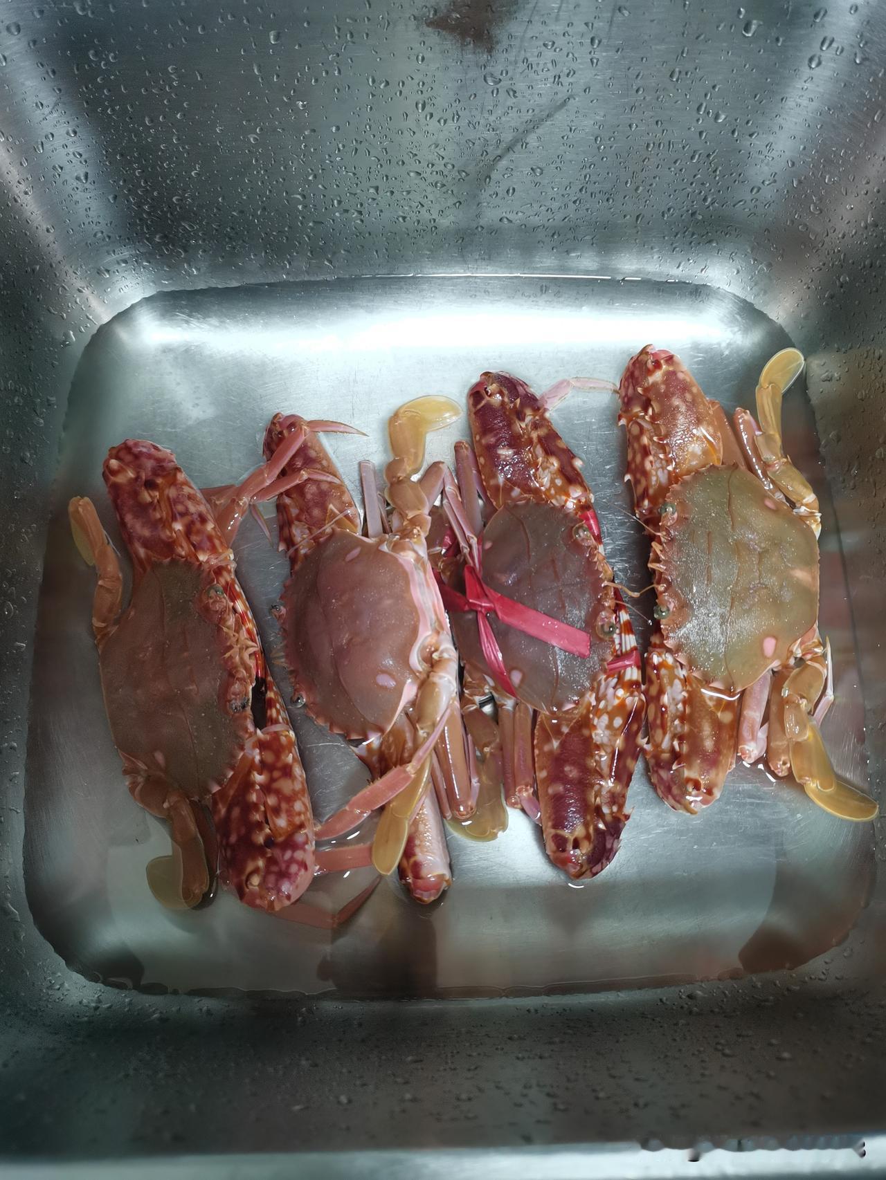 同事说她大姑姐好吃懒做一辈子，年轻时不去上班，每天睡到自然醒，上午睡懒觉，下午打