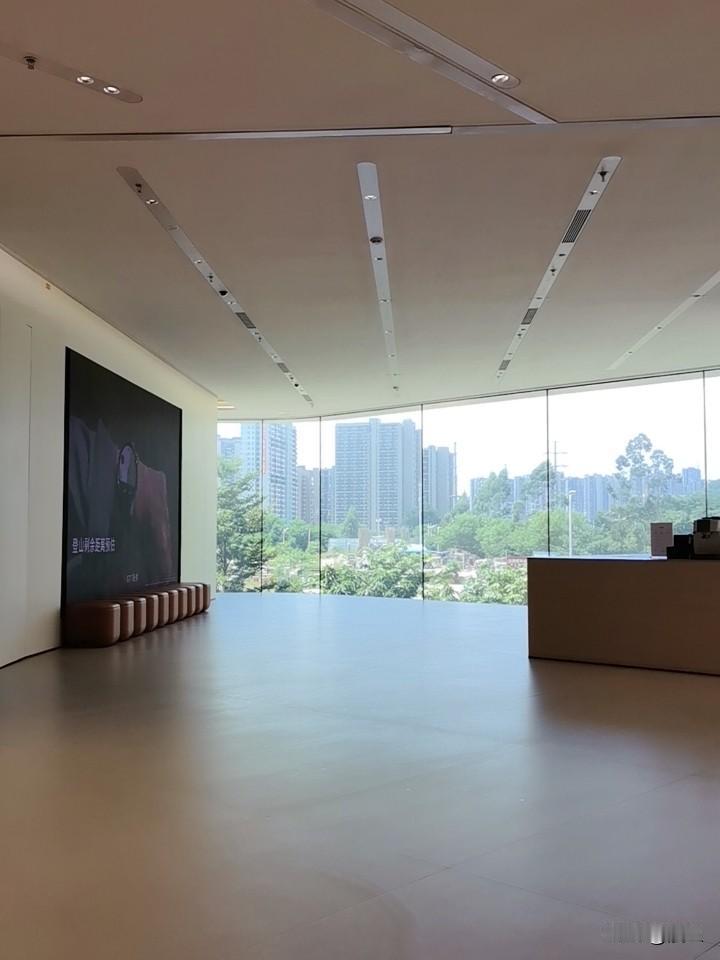 修个手机实在是有点久啊，没到十一点就到店了，现在准备一点了还没修好，就是换个摄像