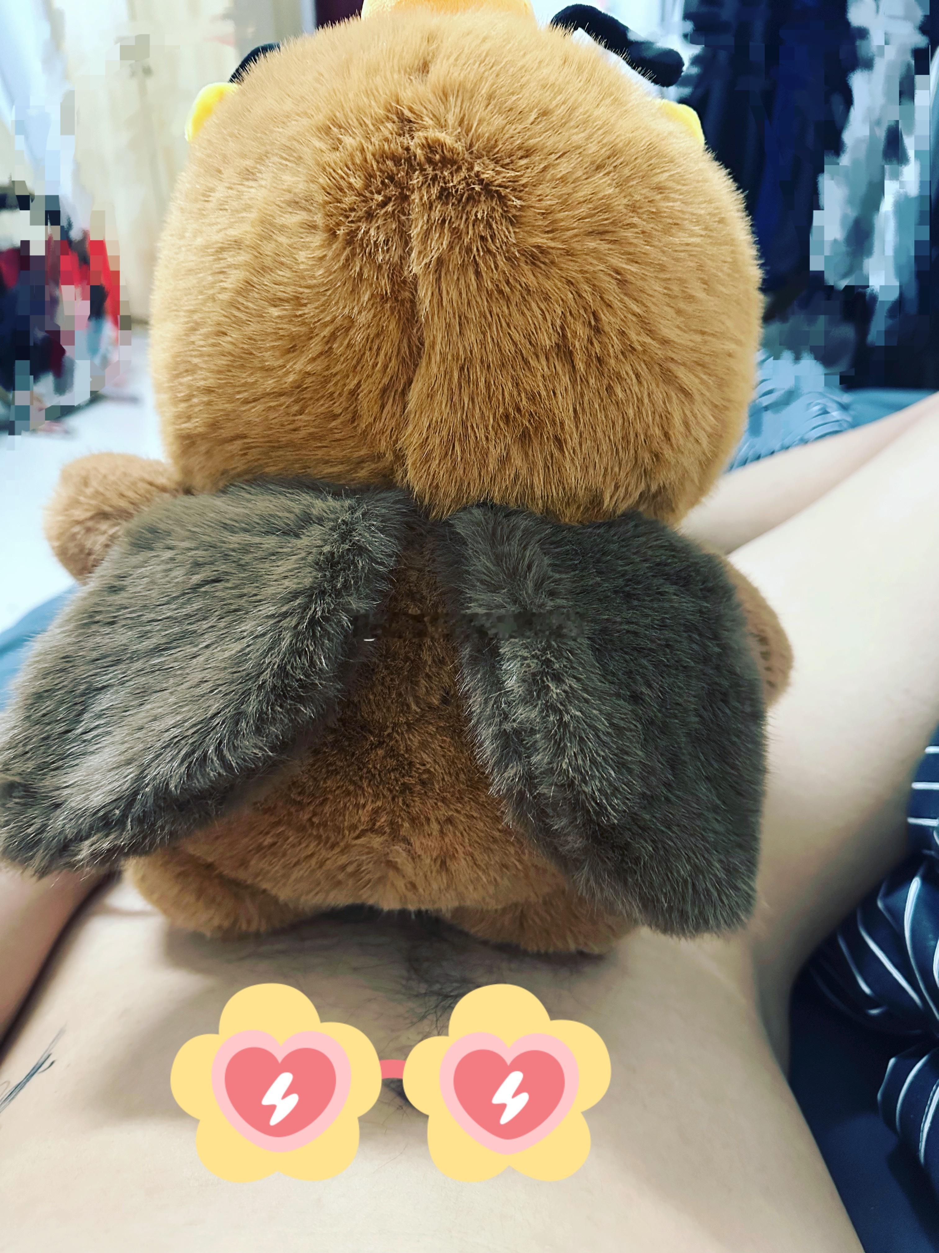 随手拍 猫宁～～～ ​​​