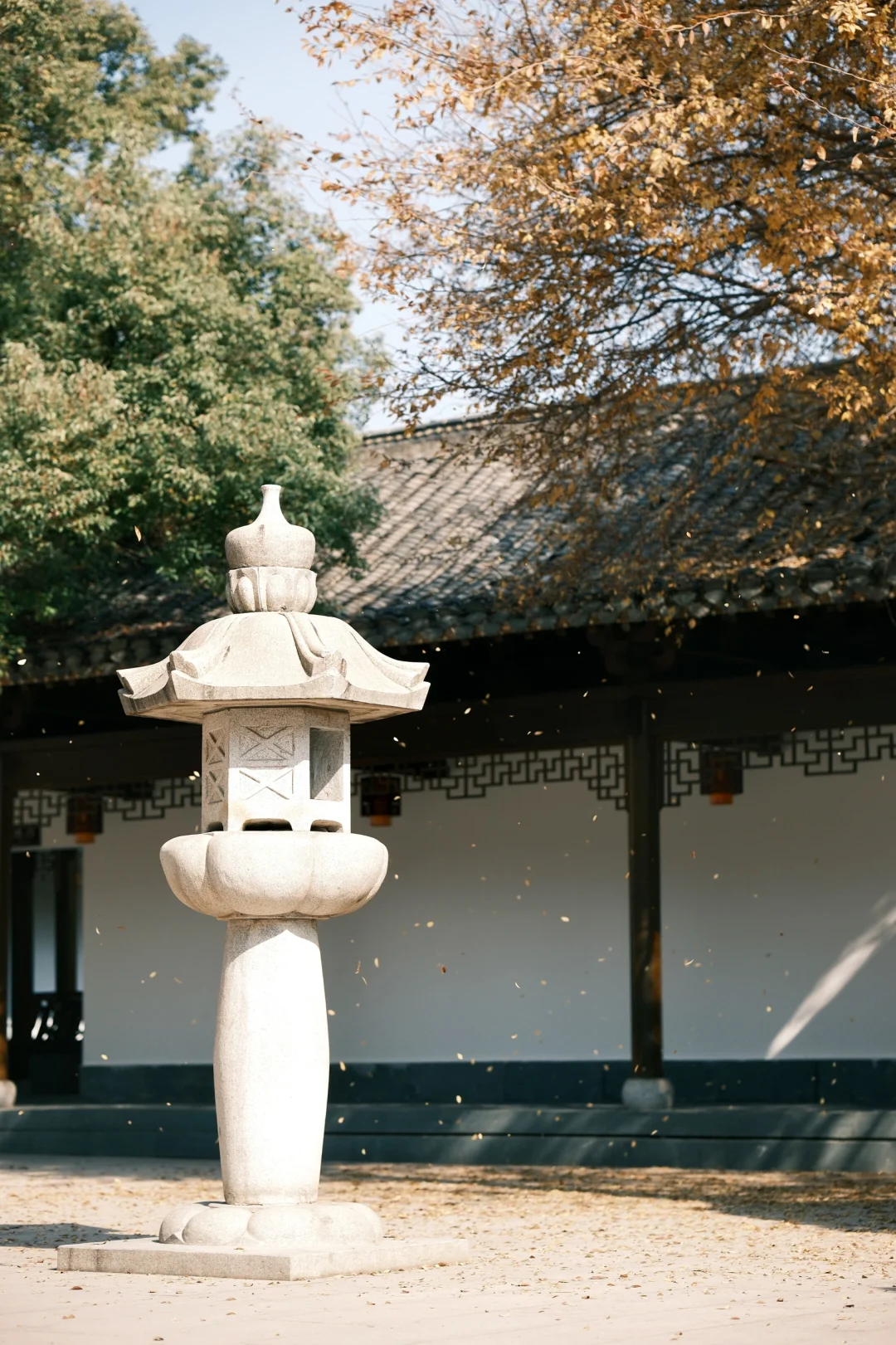 Fujifilm｜暖冬的阳光就是掌握氛围感的神