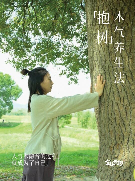 抱树疗法｜大补“木”气，内耗、能量弱时去试试