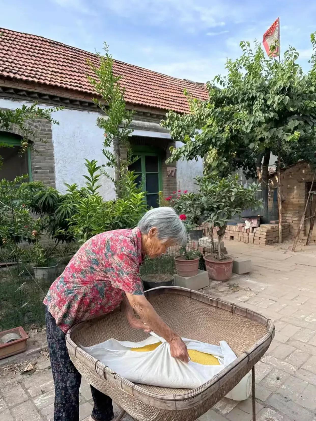 70年代，我妈第七胎生下了我，我奶奶伸手一摸又是个女孩，立马变了脸色，谁料，她接