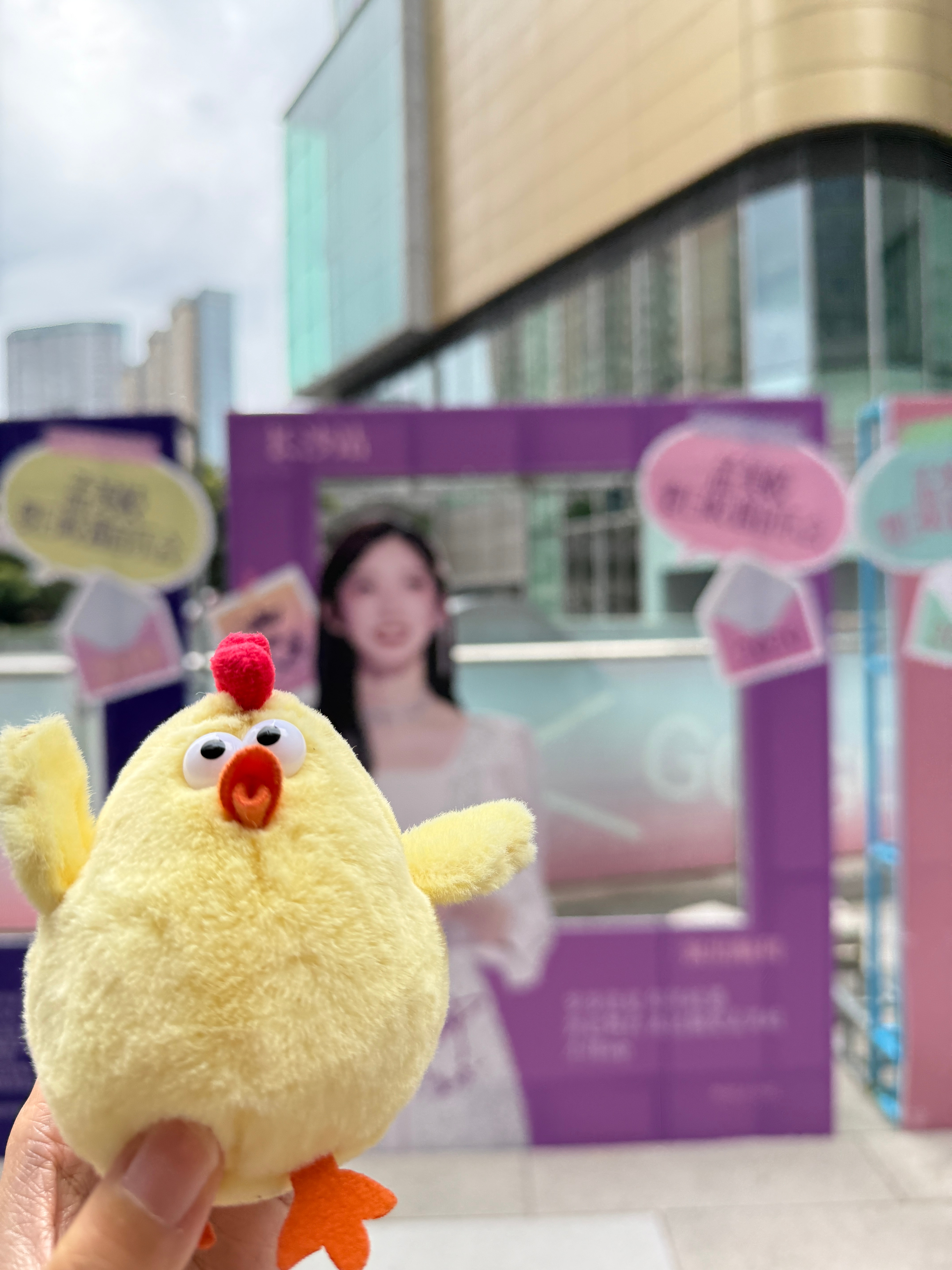 她🐥只是经过鸡崽今天也碎碎念了