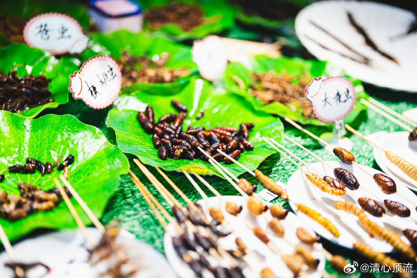 夜游昆明官渡看烟火正鼎沸   一脚踏进夜幕里的官渡，古街灯笼刚亮起，就被攒动的人