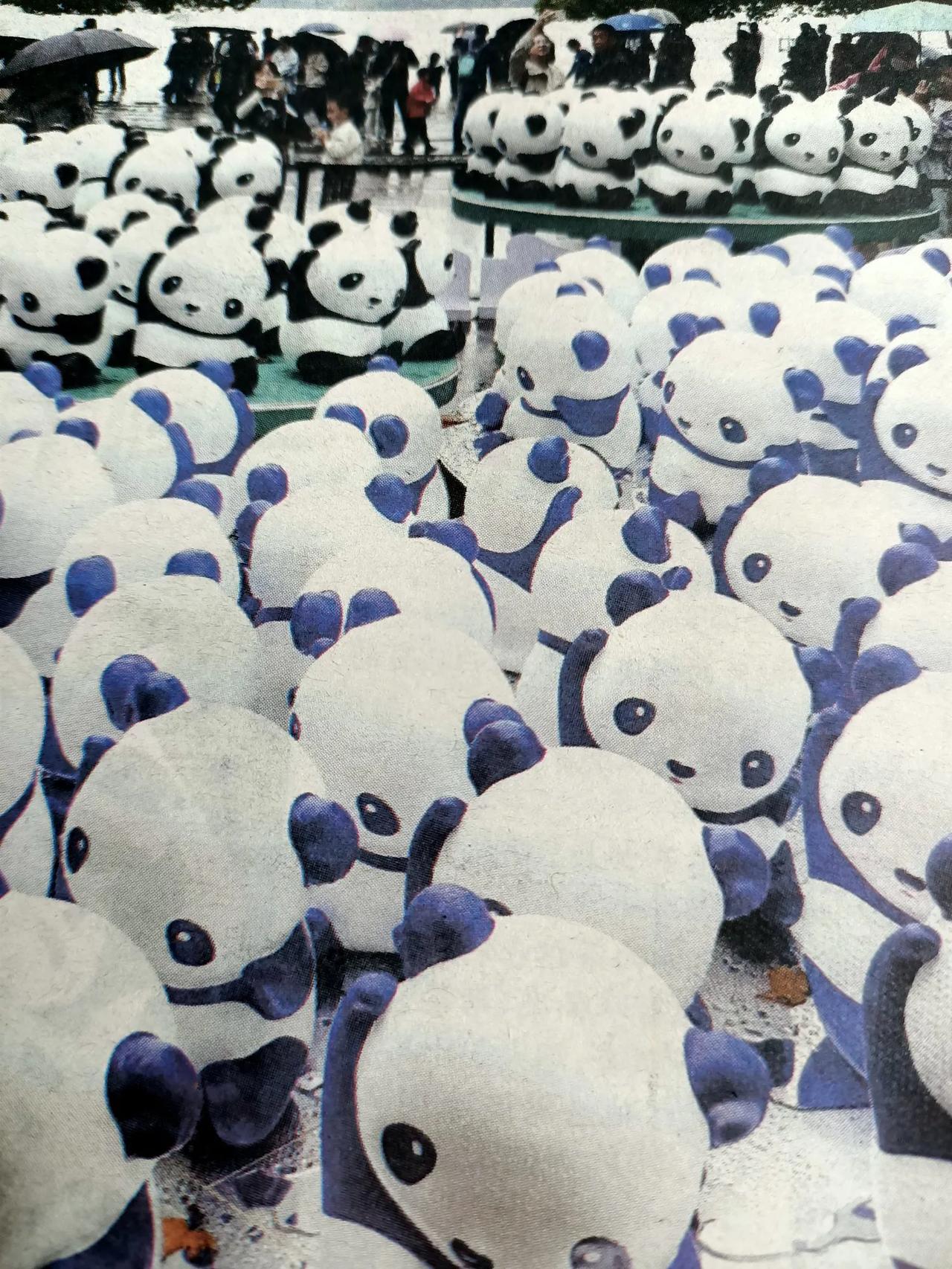 10月27号国际熊猫日，杭州湖滨步行街的”大熊猫”