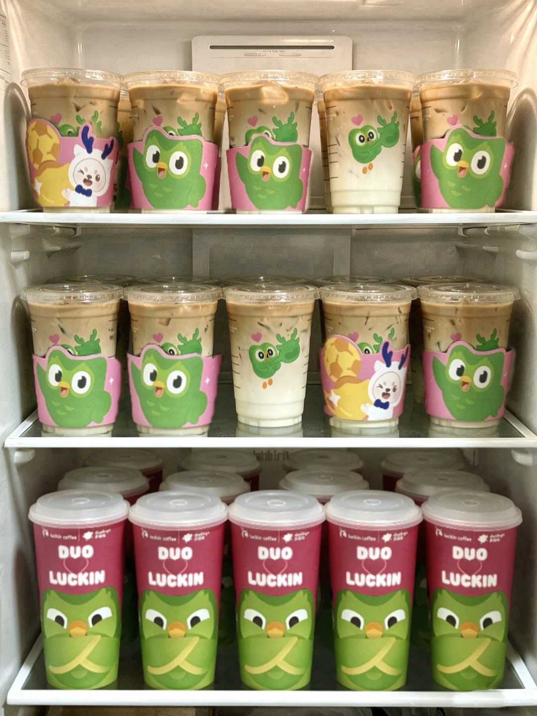 今天一打开冰箱就这亖样子