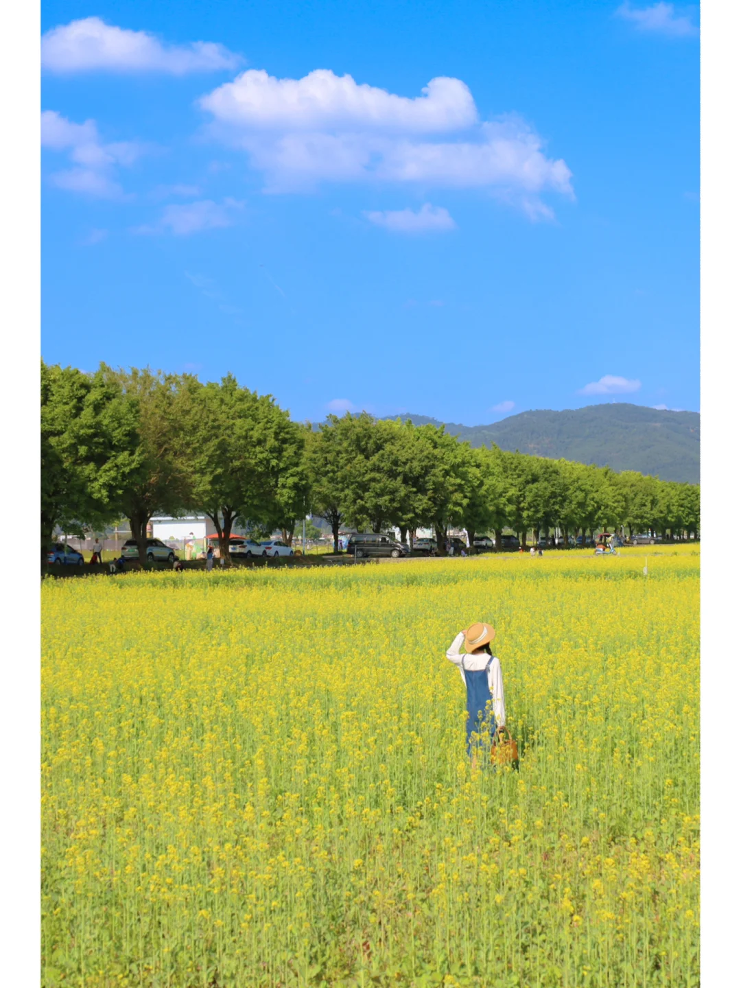 好美好梦幻！我是闯进了广州的动漫世界吗⁉️