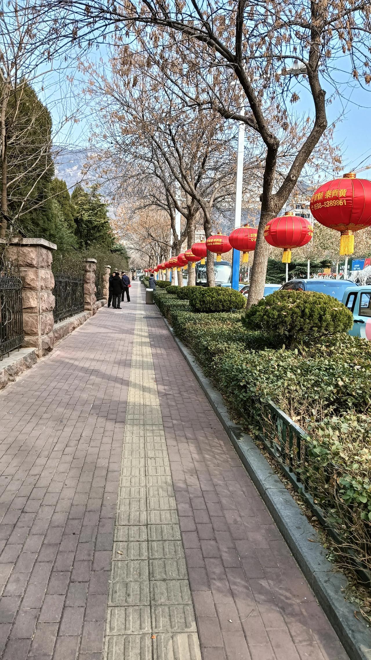 彩旗飘飘庆元旦，