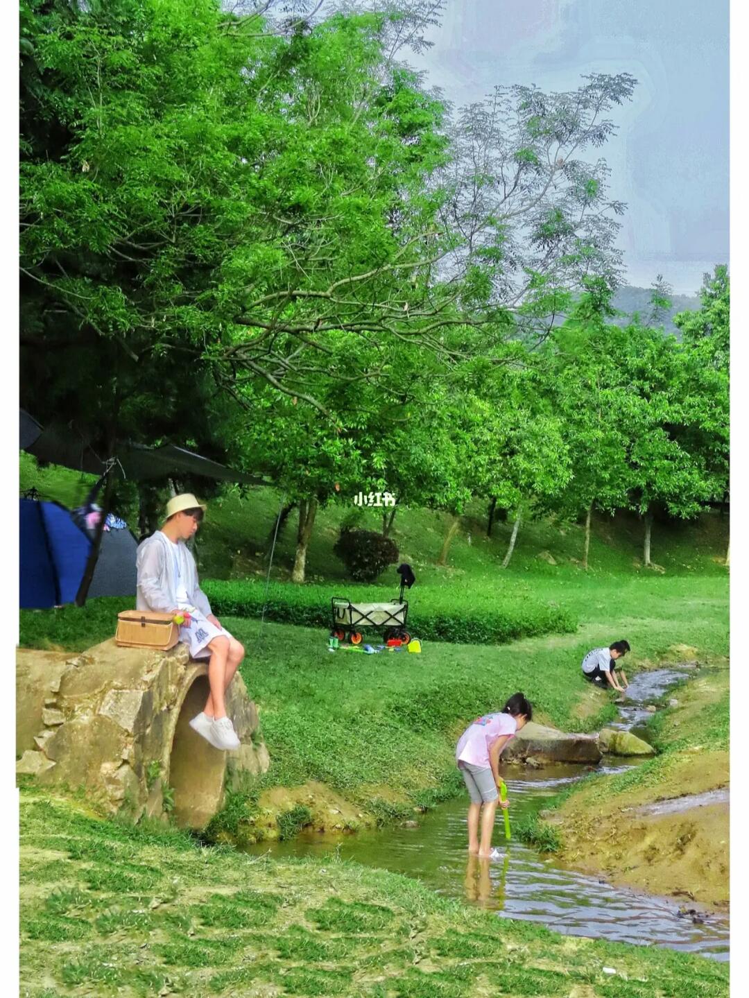 藏不住了‼️东莞这宝藏玩水露营地⛺️