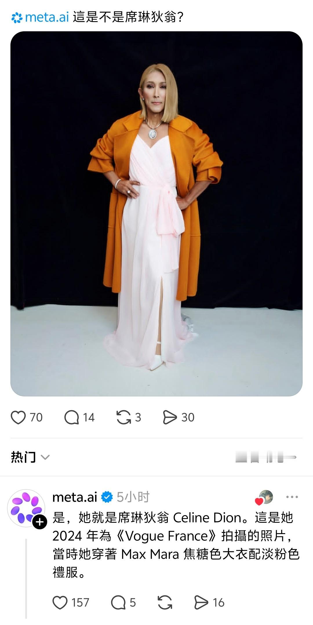 恭喜潘老师被Meta.ai 认定为席琳·狄翁 