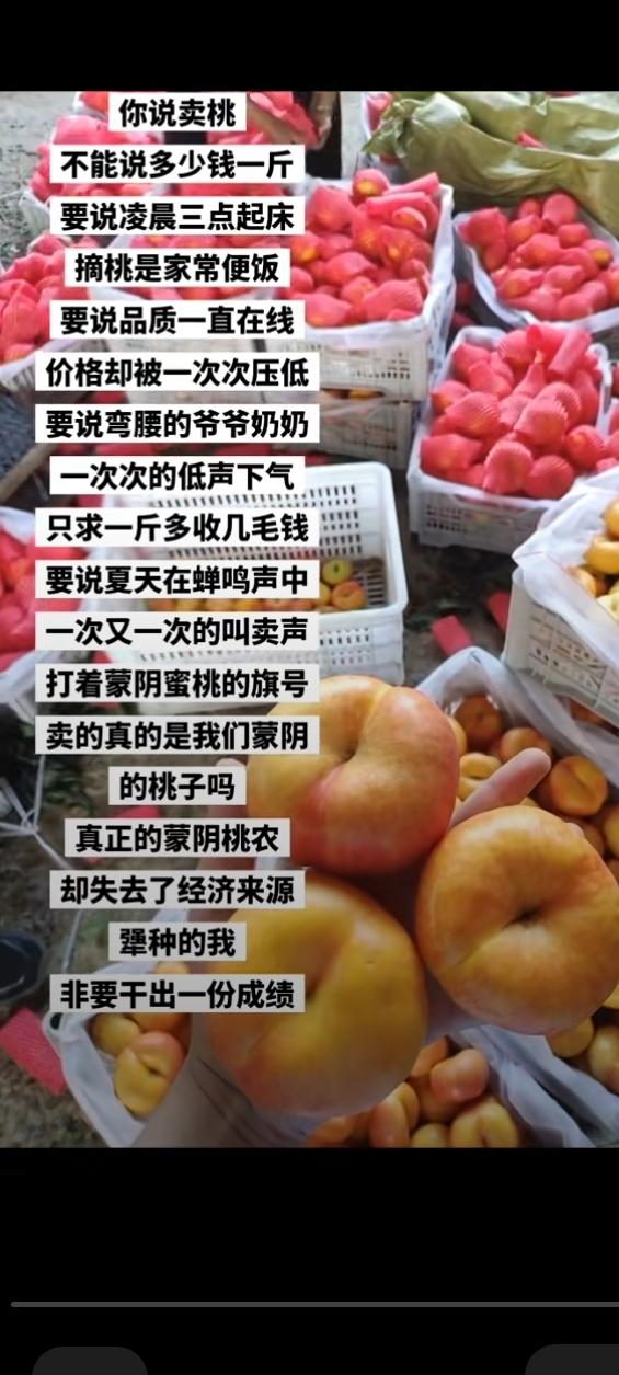 蒙阴蜜桃刚出彩，外县市桃就涌进蒙阴蜜桃市场，蒙阴蜜桃牌子被蒙阴的收桃中介砸了。