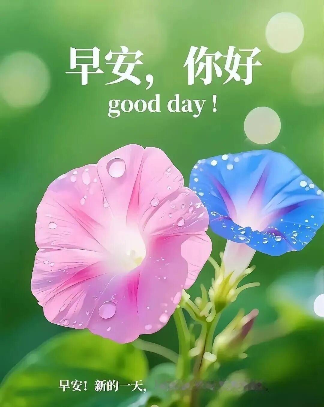 写文案生活最好的状态，是清醒自律，温柔坚定， 不慌不忙，默默努力，慢慢变好， 所