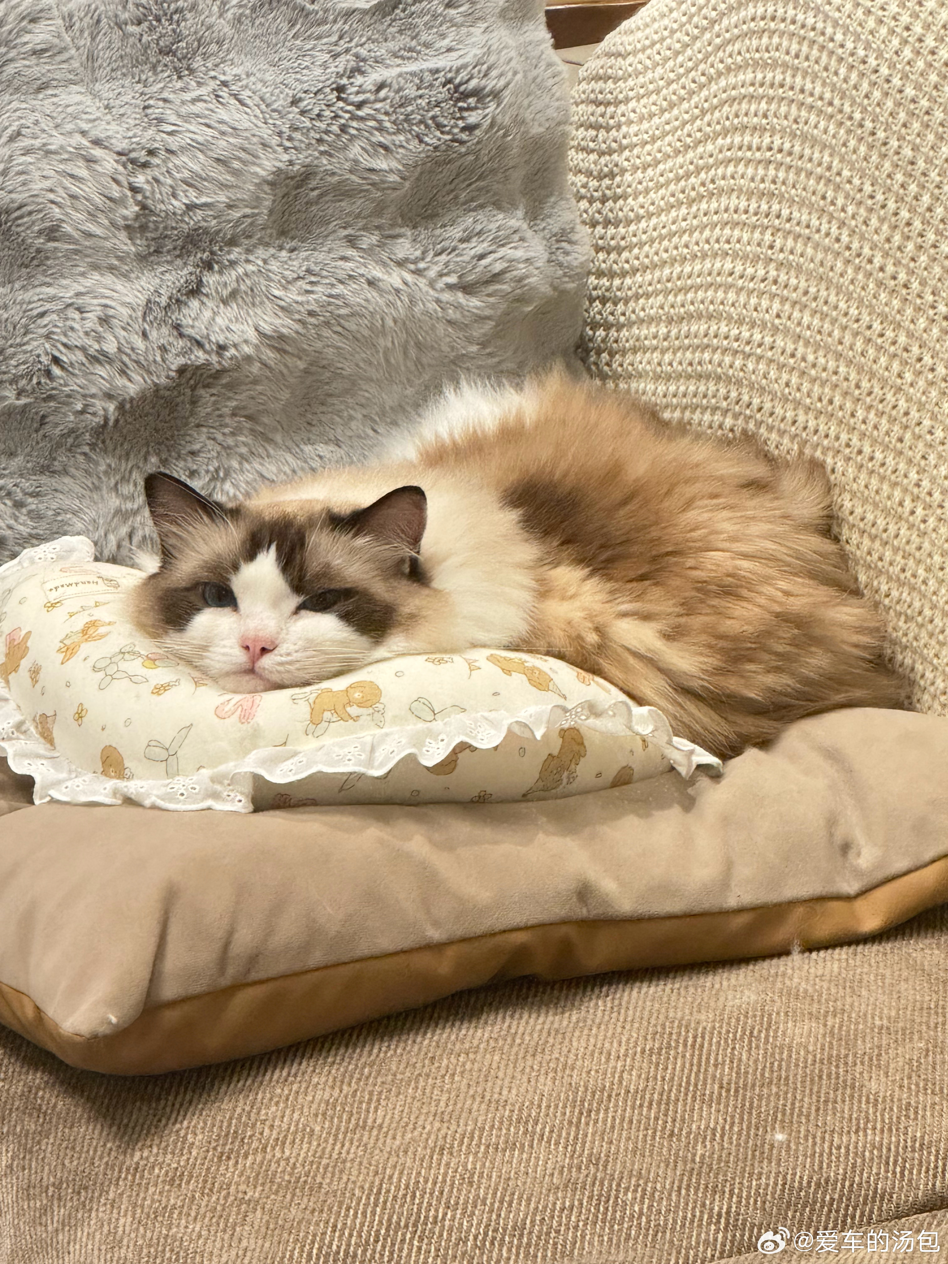 快到周年纪念日了，鸿哥对我说：我会给你准备周年礼物，但你可以不用给我准备我问是什