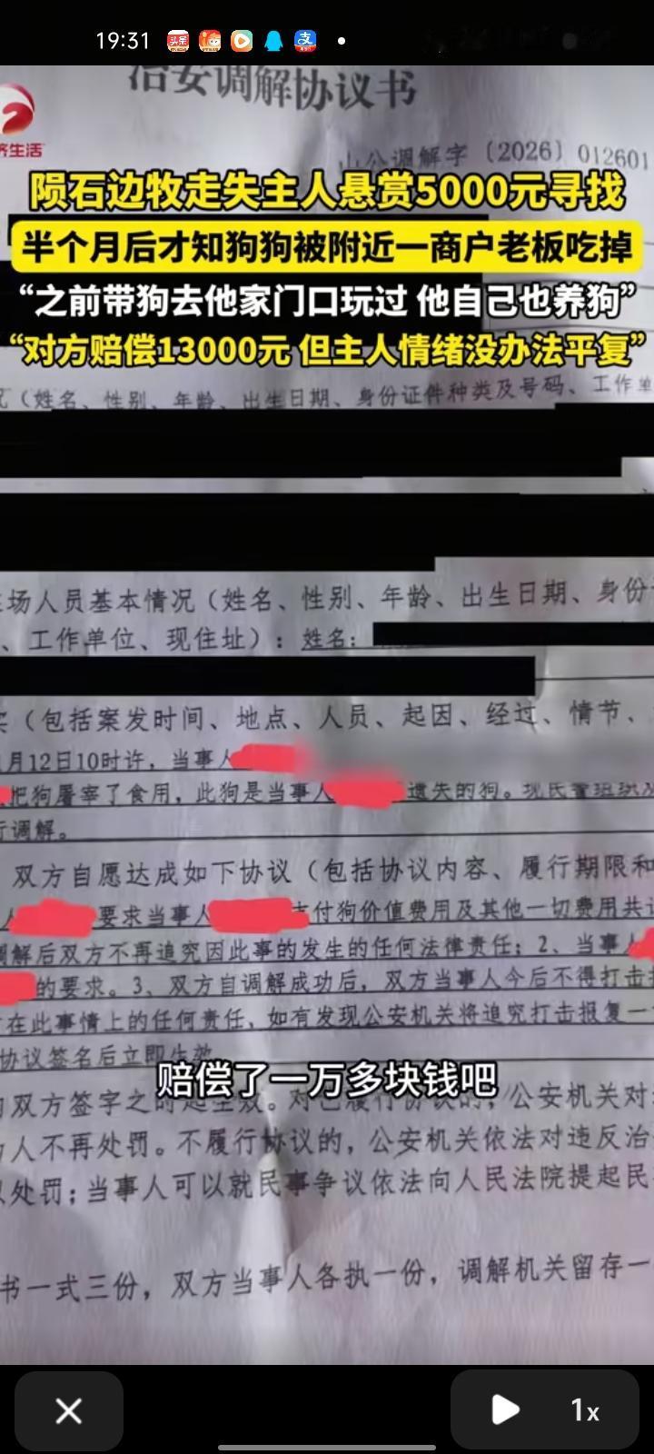 近日，广东中山。陨石边牧不慎走失，主人悬赏5000元寻找，半个月后得知，狗狗走失